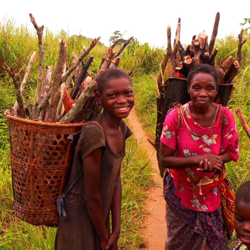 Collecting Firewood Basankusu, Democratic Republic of the Congo