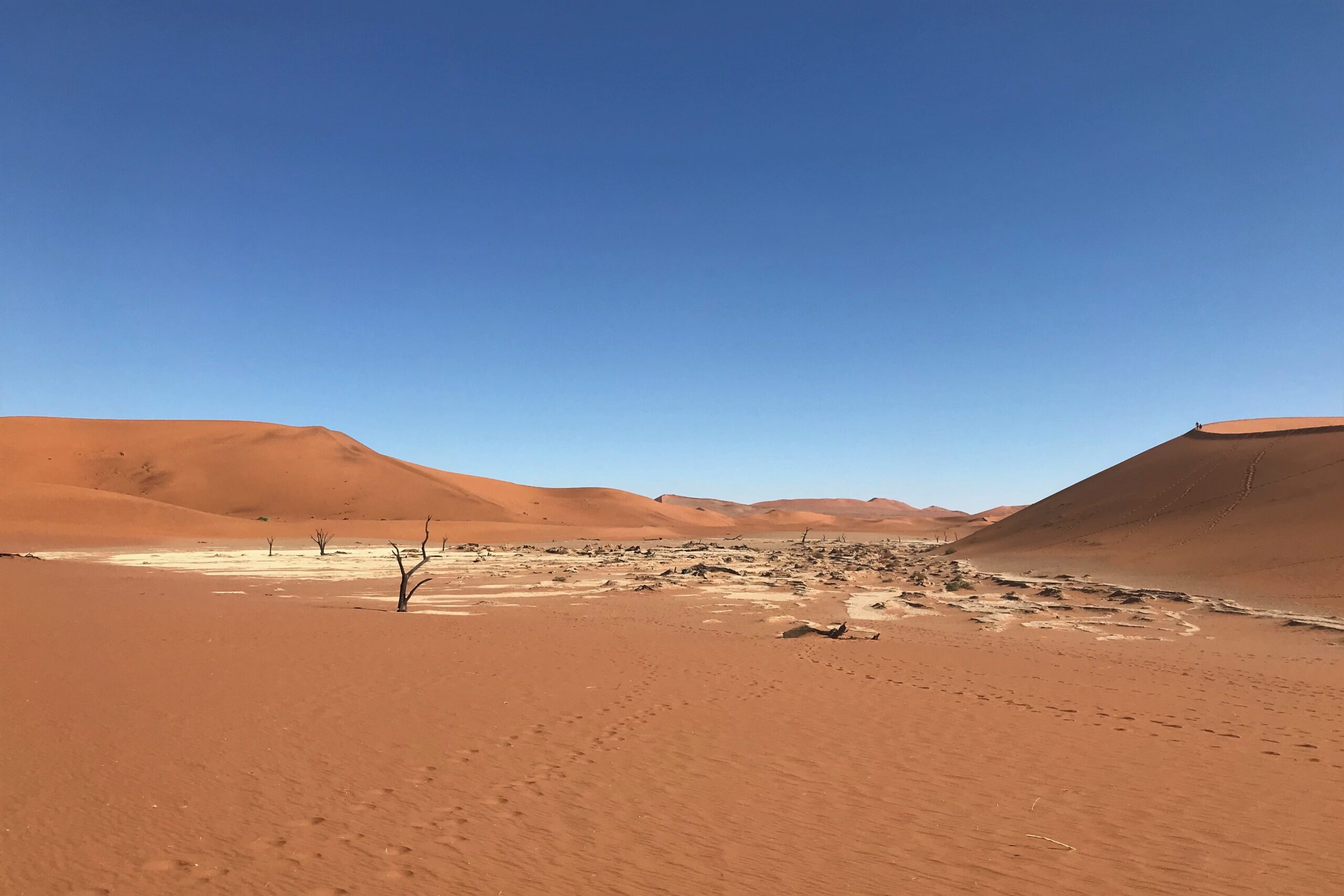 Protected: Sharing innovative MEL for people and planet