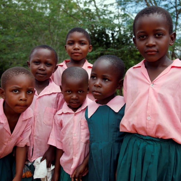 education-capability education-capability