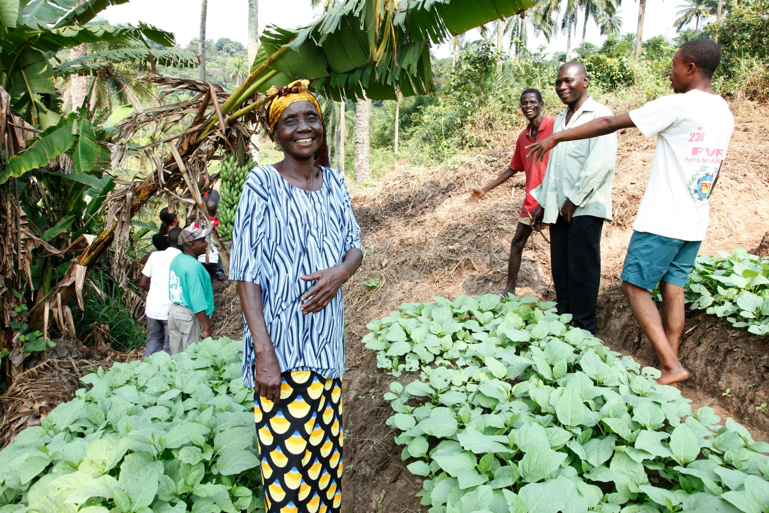 Integrity Insights – Remote PEAs: Insights from Kasai, Democratic Republic of Congo