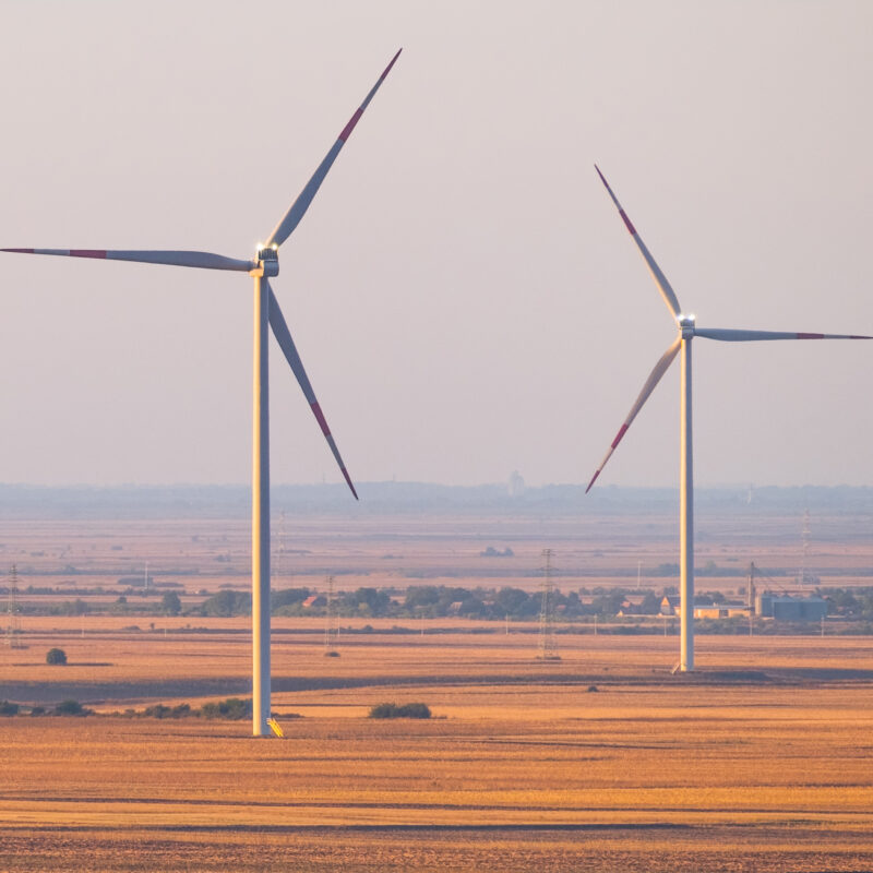 A field of wind turbines